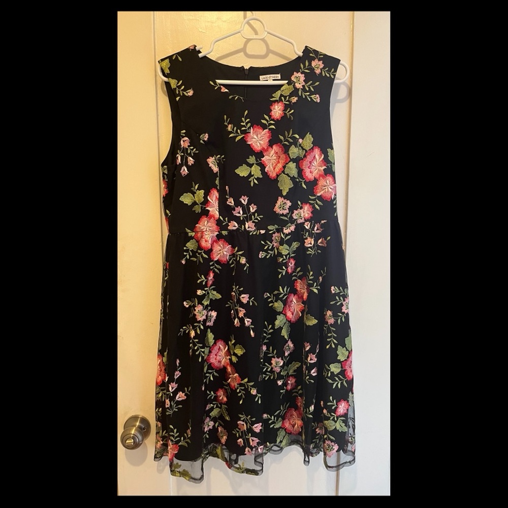 Lace and Mesh embroidered black dress